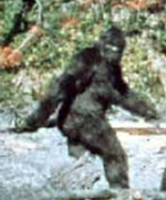 bigfoot