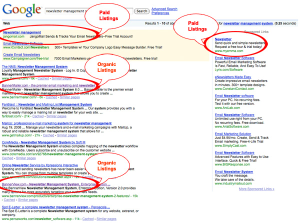 Google Search Results Listing displaying Organic and Paid Search Results